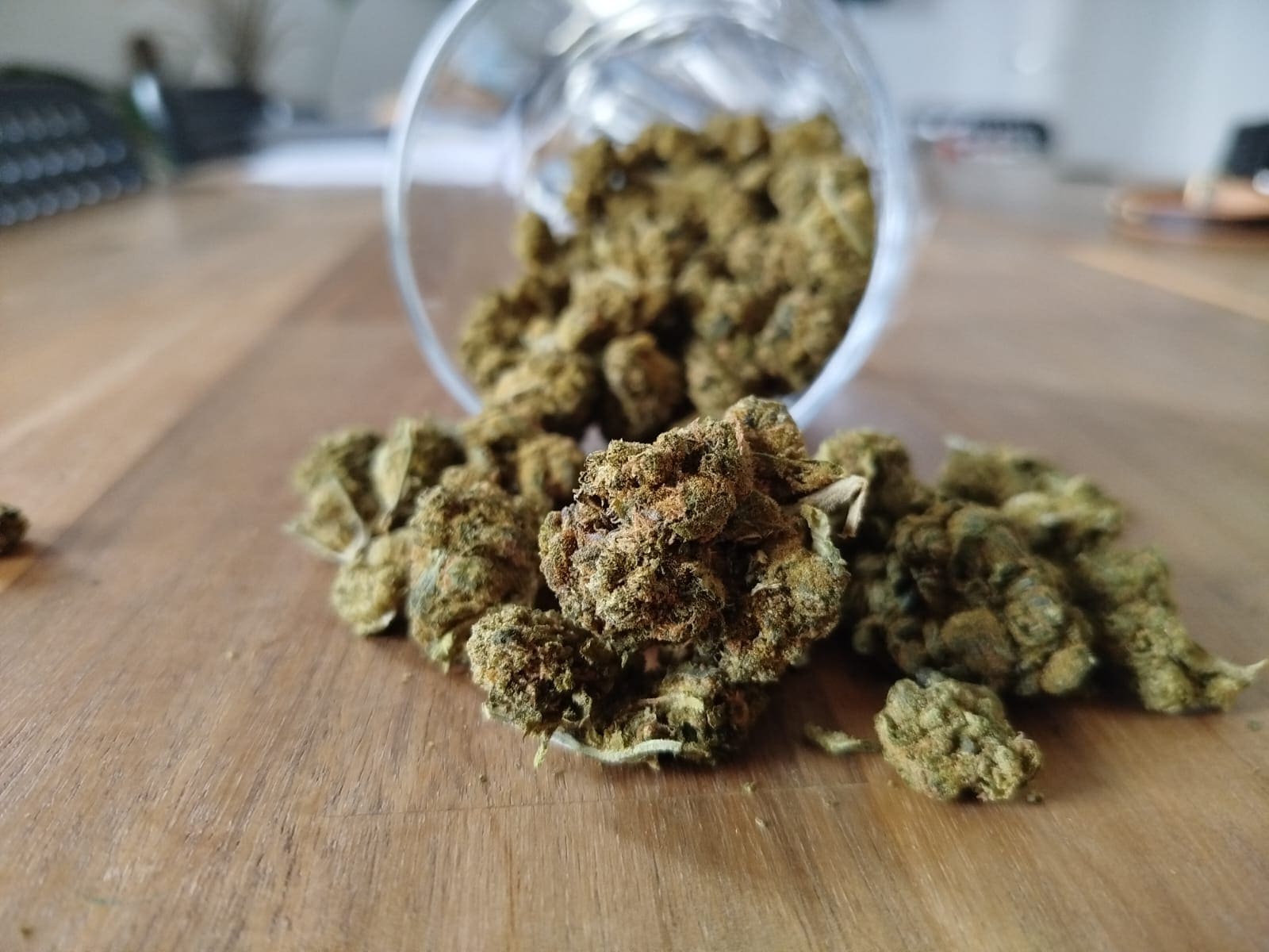 Cannabis online besteld! #GameChanger - Mijn ervaring met CannaZen Cannabis online bestellt! #GameChanger - Erfahrungen mit CannaZen
